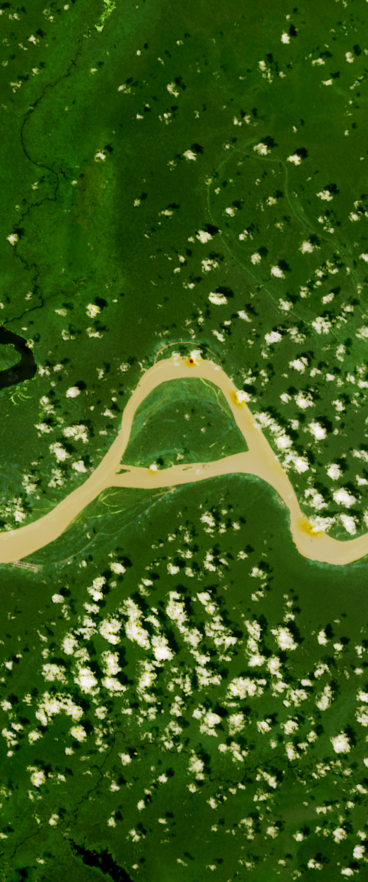 Landsat satellite image showing a curvy river forming the upper case letter “a” surrounded by green vegetation.