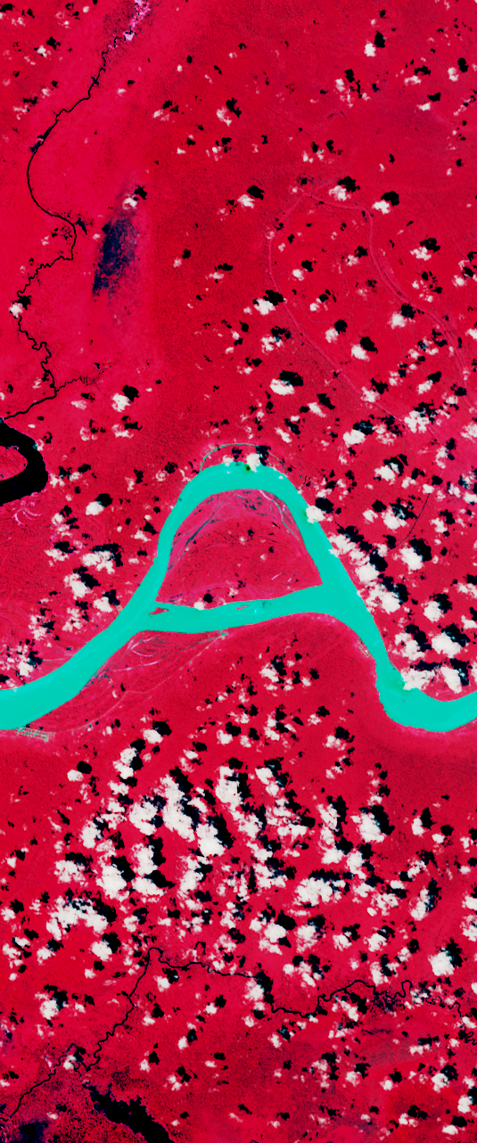 False-color Landsat satellite image showing a curvy river forming the upper case letter “a”.