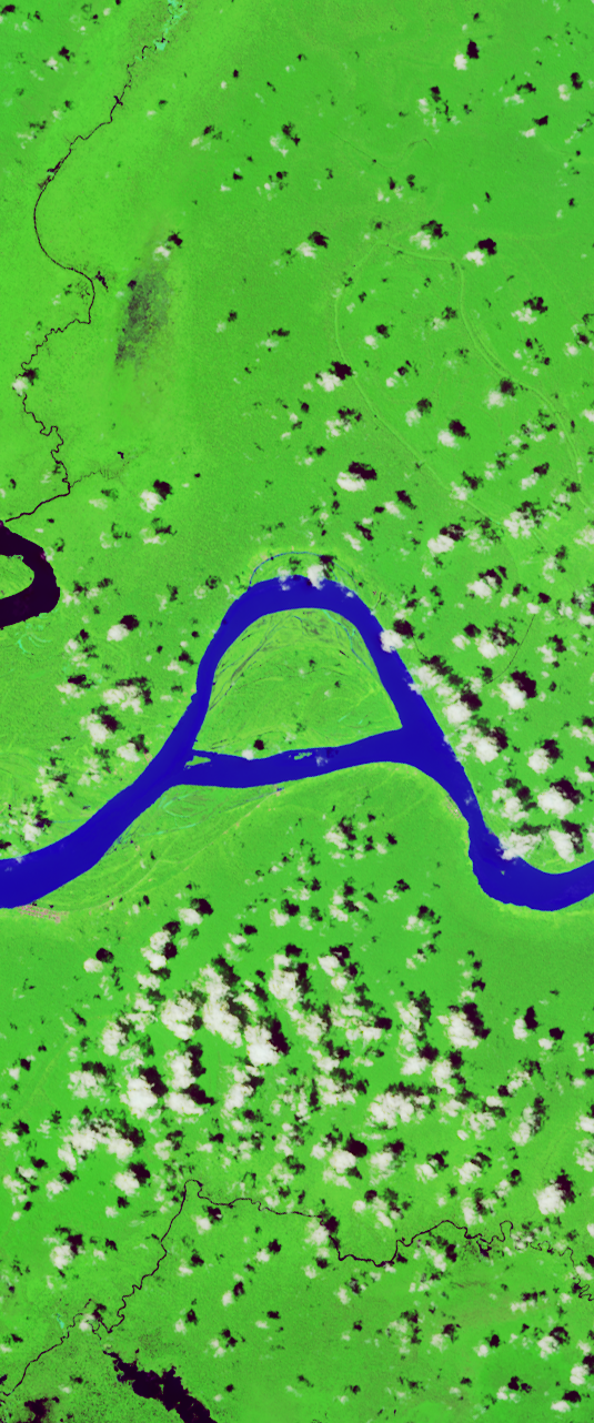 False-color Landsat satellite image showing a curvy river forming the upper case letter “a”.