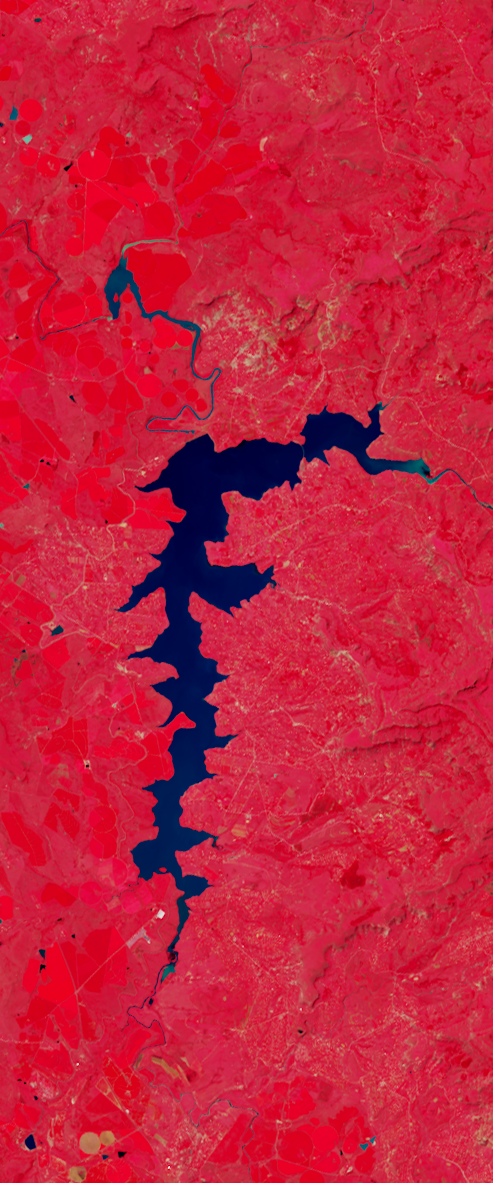 False-color Landsat satellite image of a long thin lake forms the letter f.