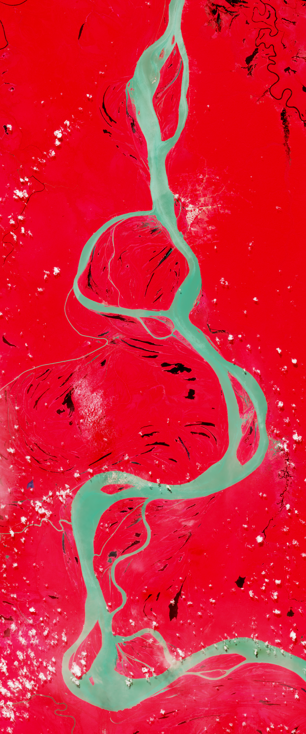 Landsat satellite image of a curvy muddy river forms the lower case letter G.