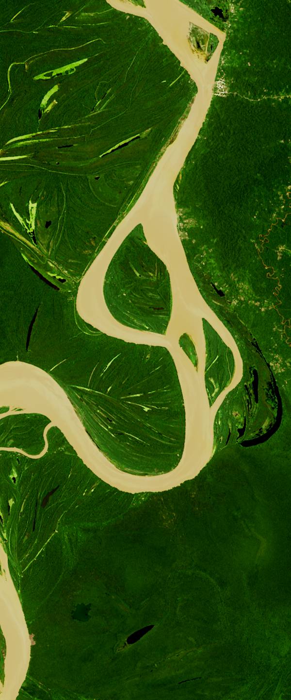 Landsat satellite image showing a curvy river forming the lower case letter g, surrounded by green vegetation.