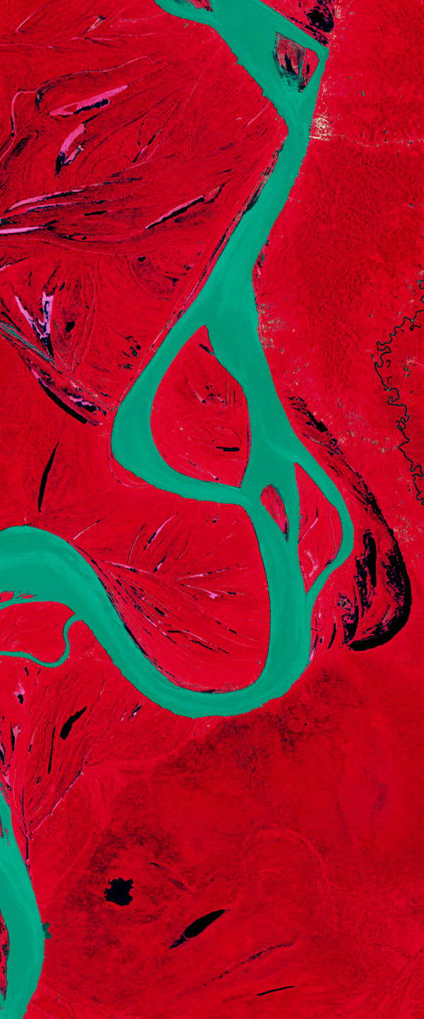 Landsat satellite image in false-color showing a curvy river forming the lower case letter g.