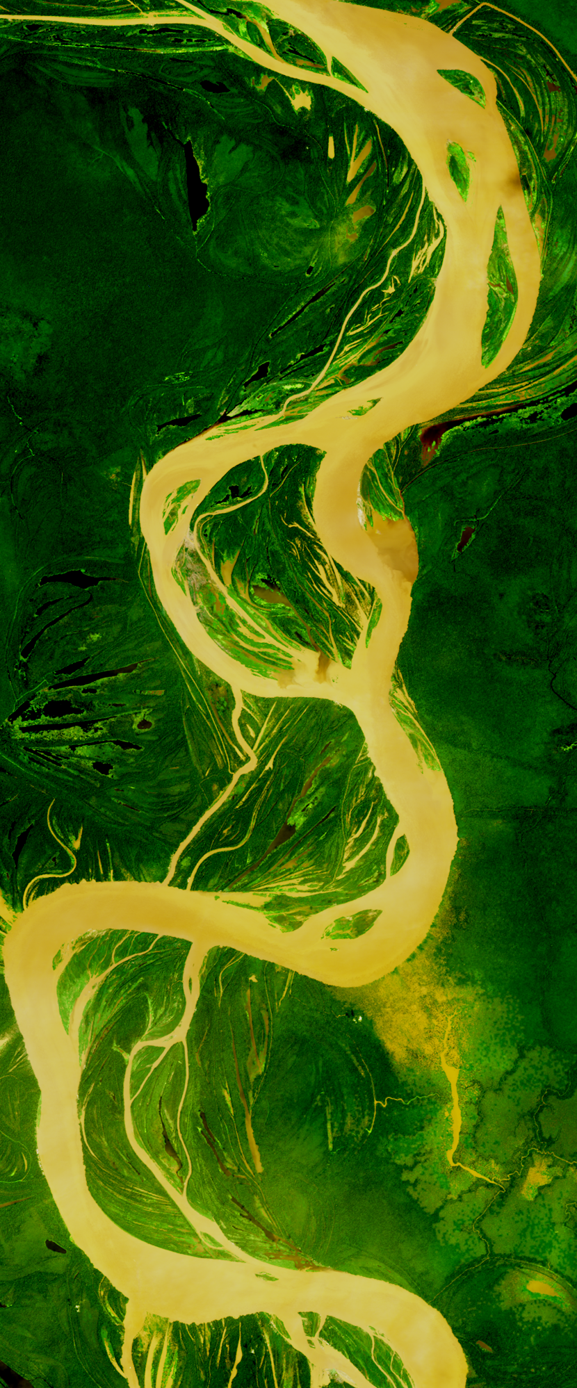 Landsat satellite image showing a winding river forming the lower case letter g, surrounded by dense green forest.