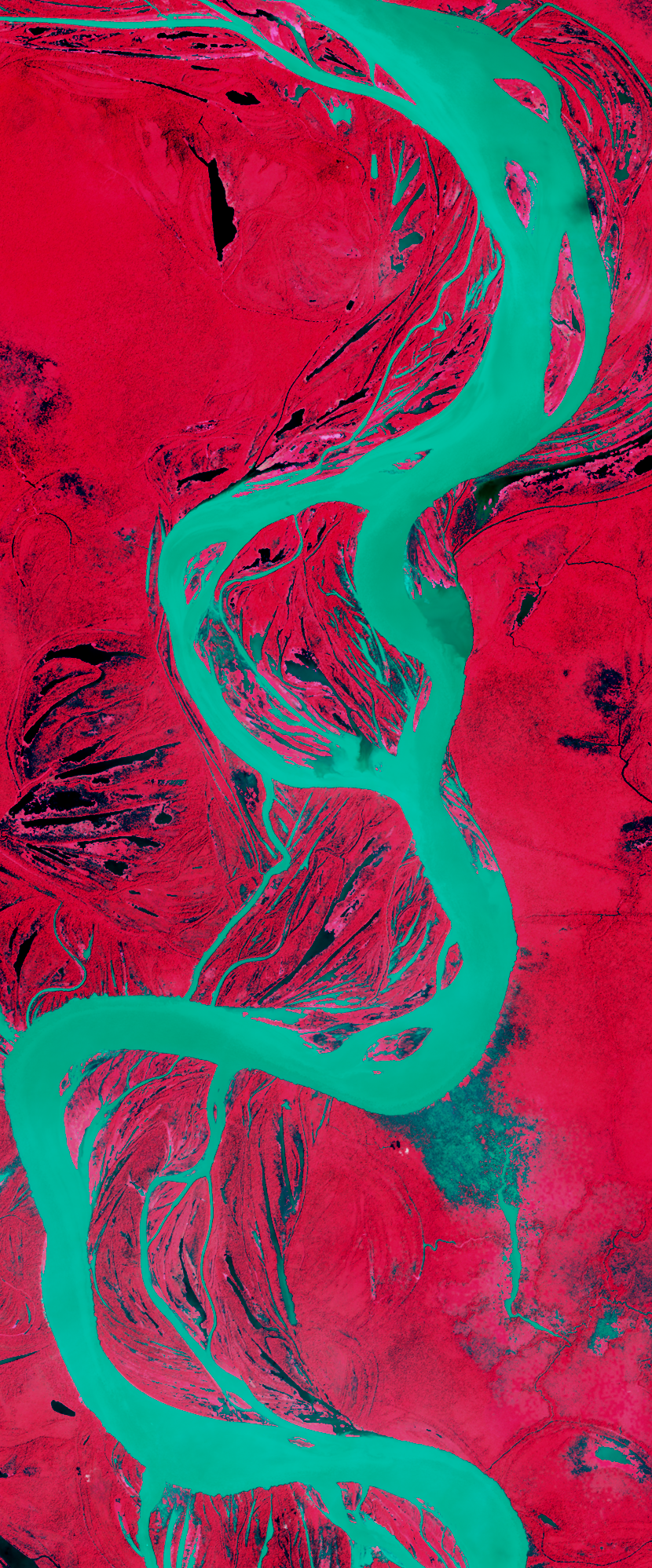 Landsat satellite image in false-color showing a winding river forming the lower case letter g.