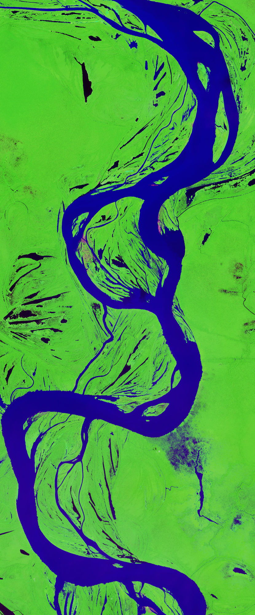Landsat satellite image in false-color showing a winding river forming the lower case letter g.