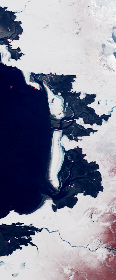 Two sandy islands form the lower case letter I in this false-color Landsat satellite image.