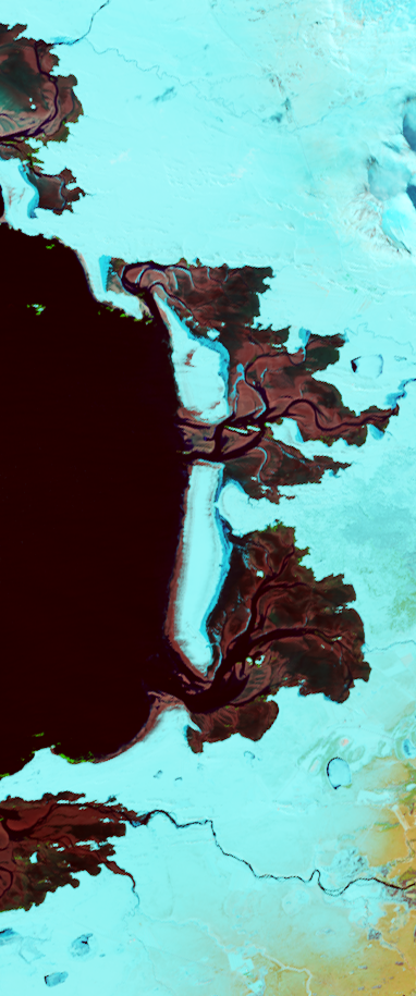Two sandy islands form the lower case letter I in this false-color Landsat satellite image.