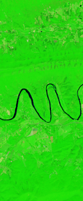 False-color Landsat satellite image showing a curvy river forming the letter m.