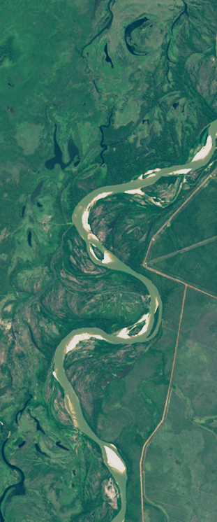 Landsat satellite image showing roads cut through a forest that form the upper case letter S.