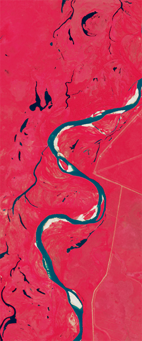 False-color Landsat satellite image showing roads cut through a forest that form the upper case letter S.