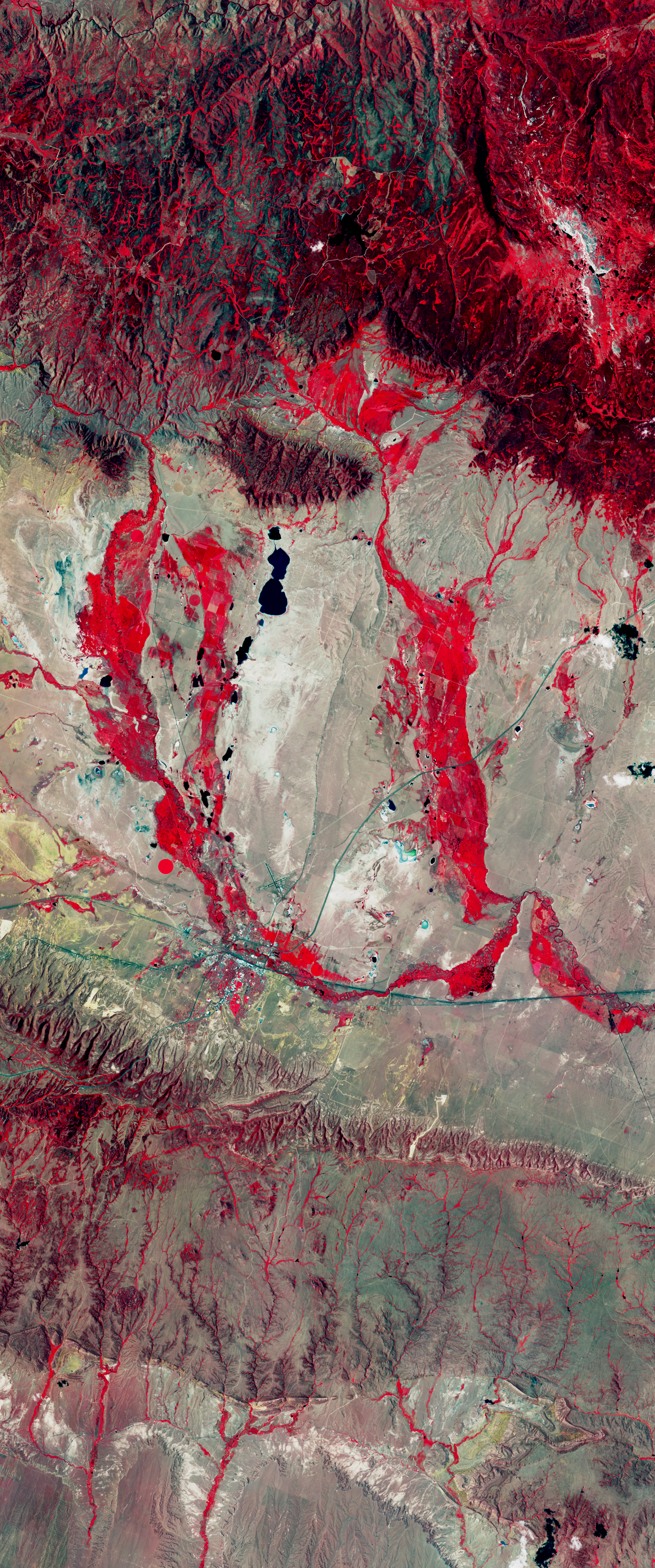 Landsat satellite image showing vegetated areas resembling the lower case letter U.