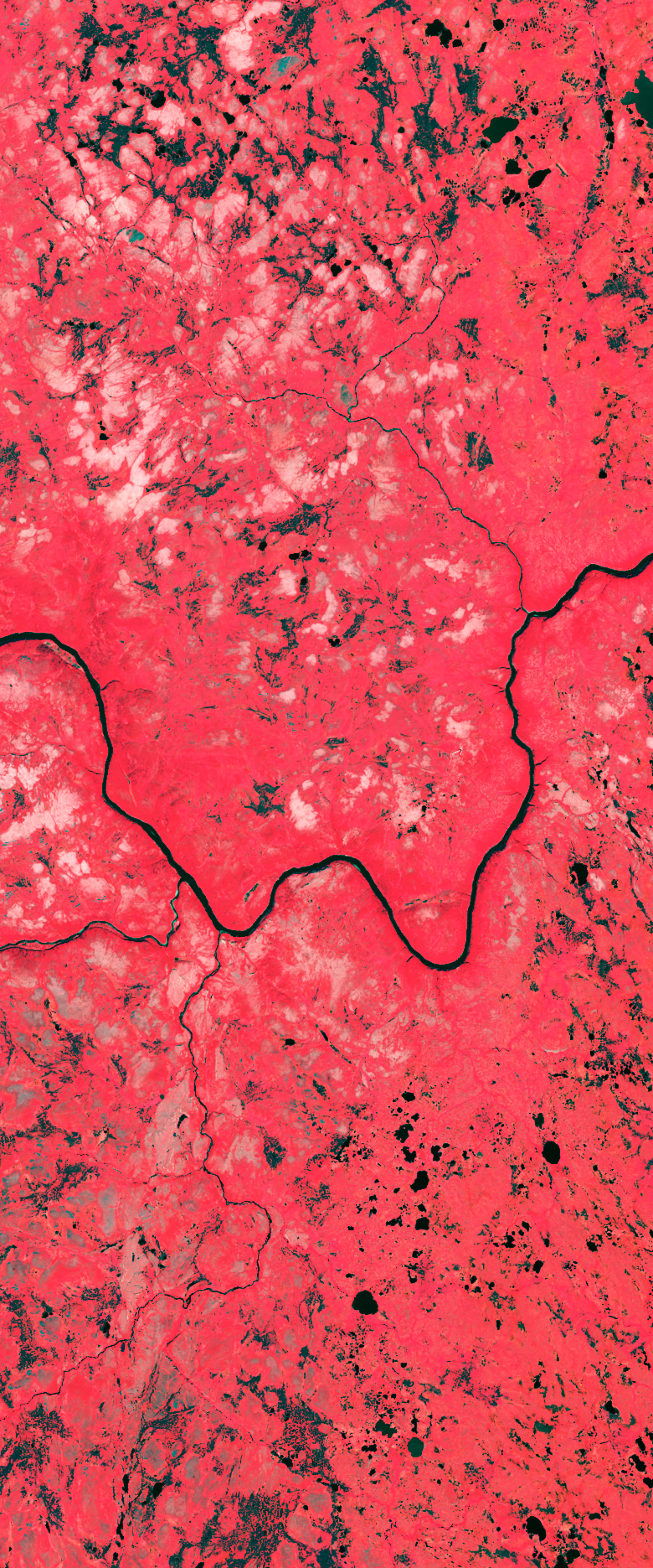 Curvy river forms the lower case letter W in this Landsat satellite image.