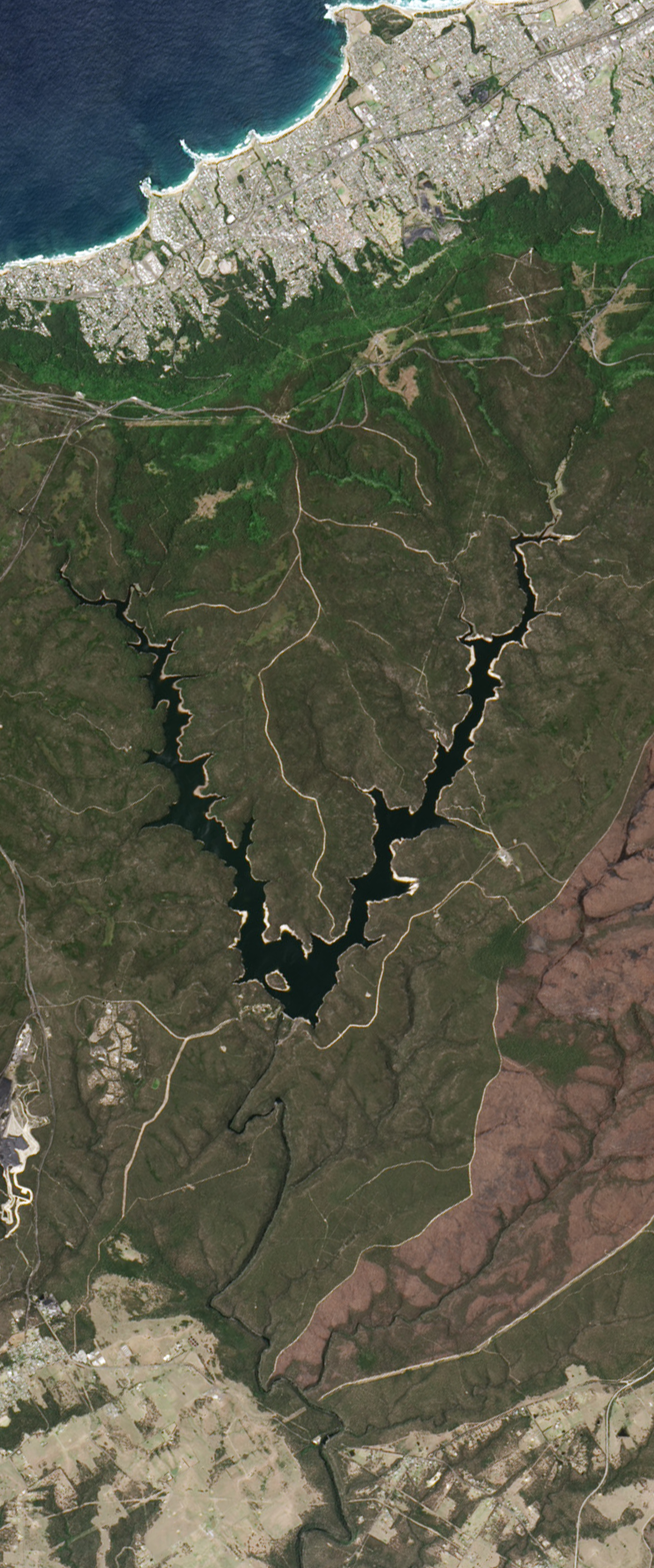 Landsat satellite image of a squiggly lake form the capital letter V.