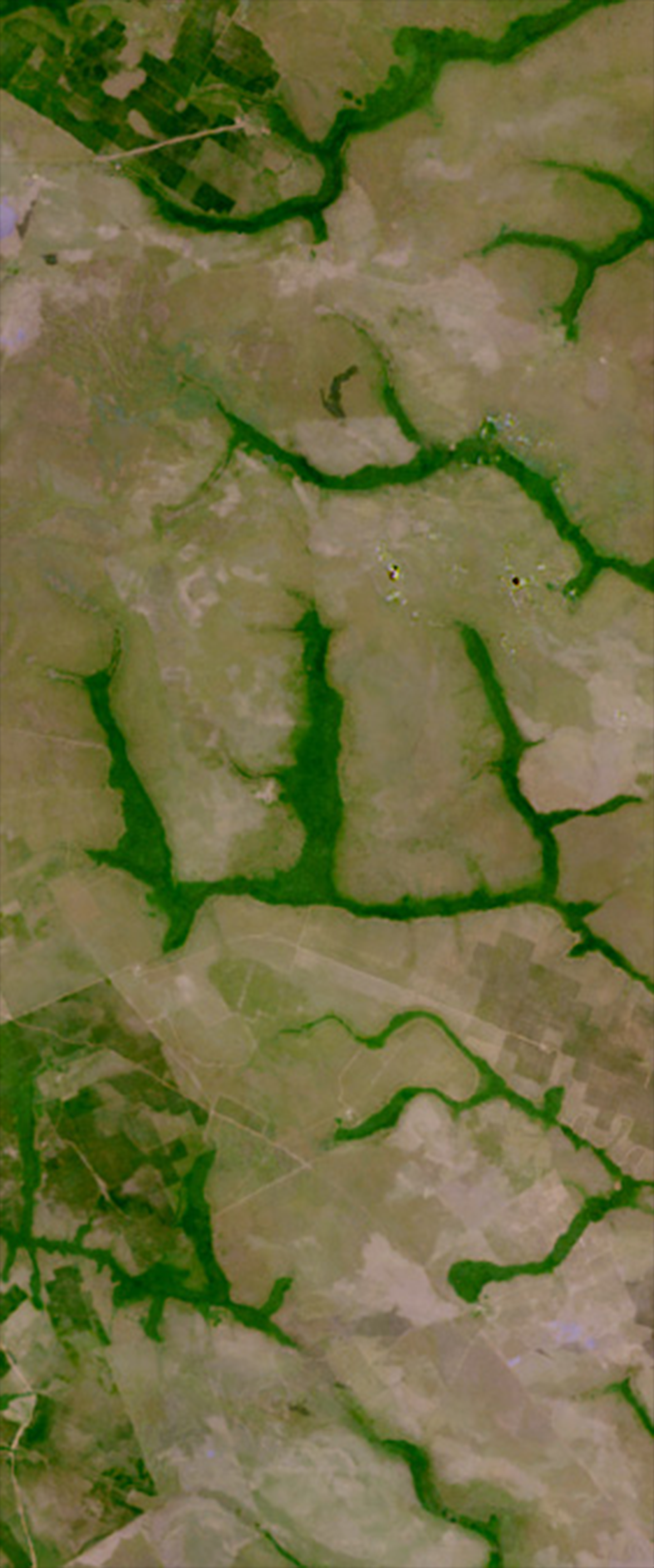Forested area creates the upper case letter W in the surrounding landscape in this Landsat satellite image.