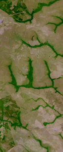 Forested area creates the upper case letter W in the surrounding landscape in this Landsat satellite image.