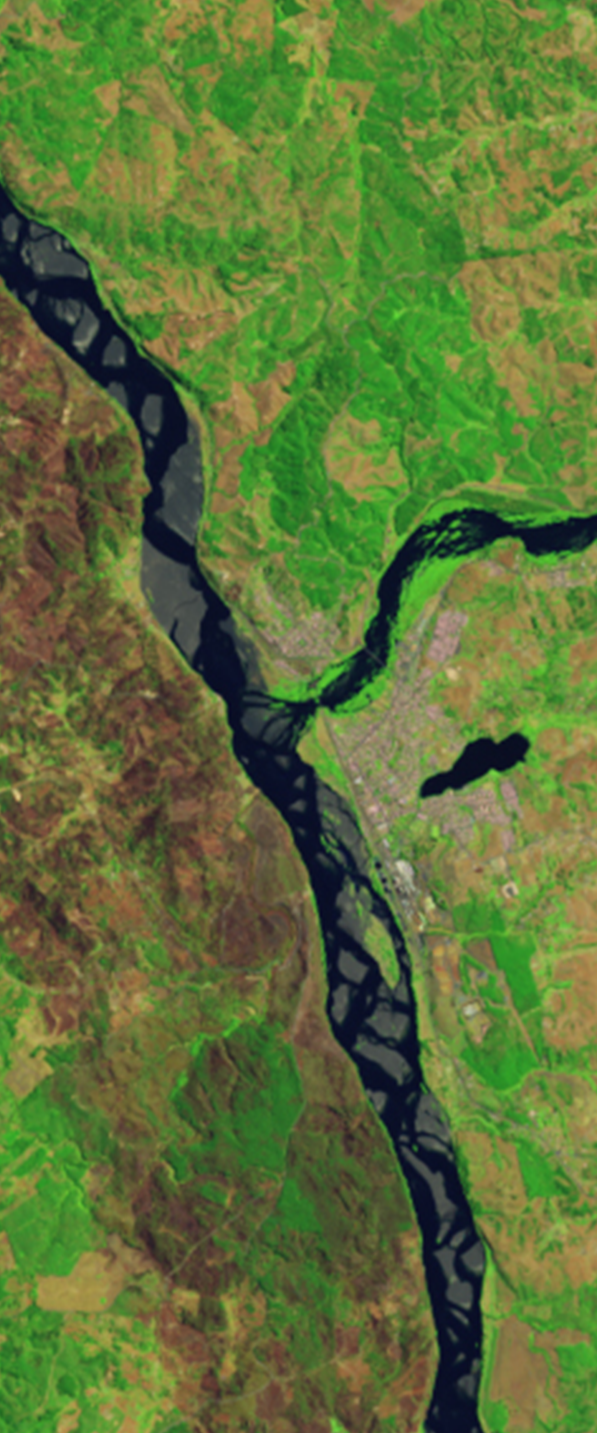 Landsat satellite image of a river forming the lower case letter Y.