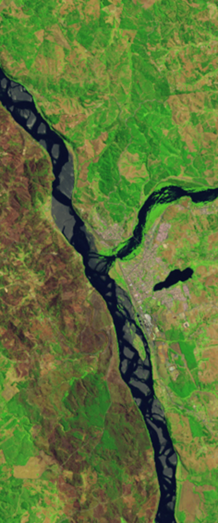 Landsat satellite image of a river forming the lower case letter Y.