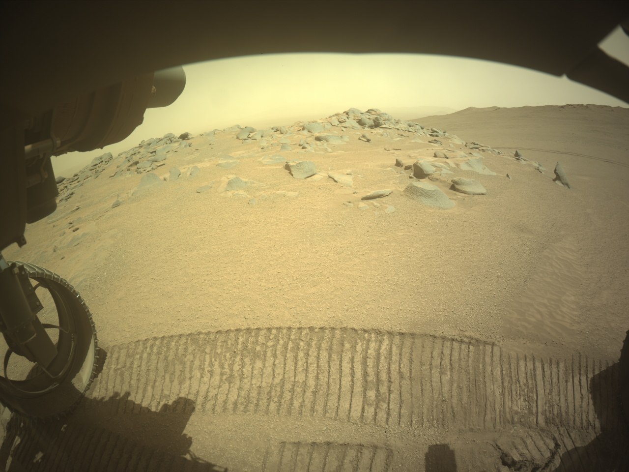 A color photo from the Martian surface shows a desert-like landscape in pale golden brown, with fine soil in the foreground and scattered large rocks protruding from the surface from the middle of the scene toward the horizon beyond. The view, from underneath the Perseverance rover, shows the underside of the rover, in shadow at the top of the frame. One of the rover’s wheels is visible at lower left, and its tracks mark the ground from that wheel along the bottom of the frame to the lower right corner.
