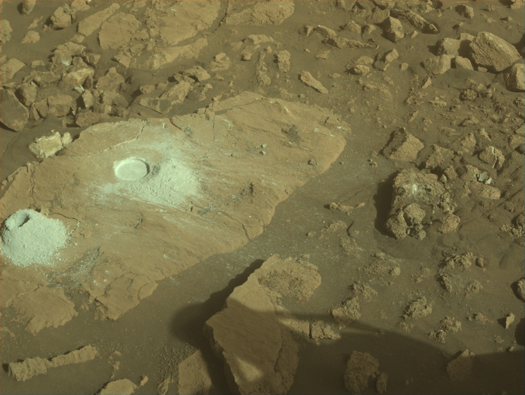Gardens on Mars? No, Just Rocks! - NASA Science