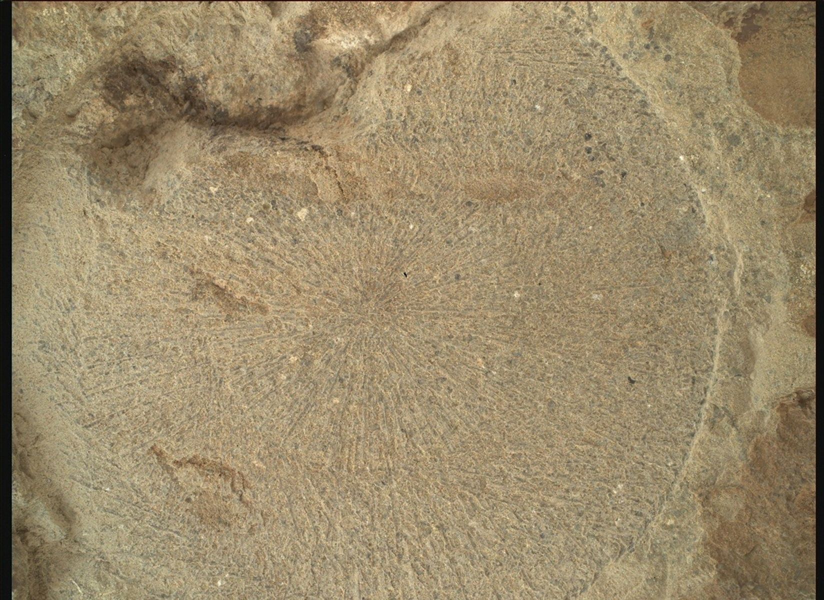 A color close-up photo of the Martian surface shows a pale tan-orange rock, with a more or less circular face showing, that has grooves or lines emanating from a center point like rays.