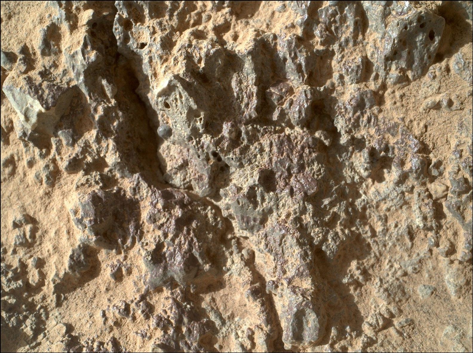 A close-up of jagged, bumpy, grayish-orange rocks on the Martian surface. In several spots the rocks are pockmarked, or have bubble-like protrusions.