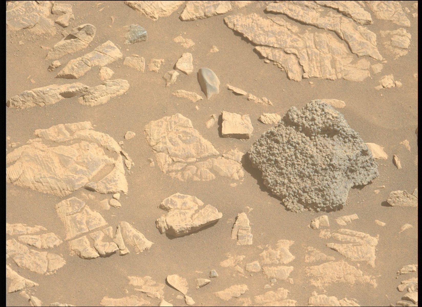 A color photo from the Martian surface shows pale brownish-orange fine soil with several small and medium sized rocks poking above the surface, lighter-toned than the surrounding soil, mostly flat with varied edges and cracks. One exception is a rock that stands out at the middle right of the image, dark gray and slightly larger than everything else around, vaguely diamond-shaped — from the viewer’s vantage point — and covered everywhere on its surface in tiny bumps.