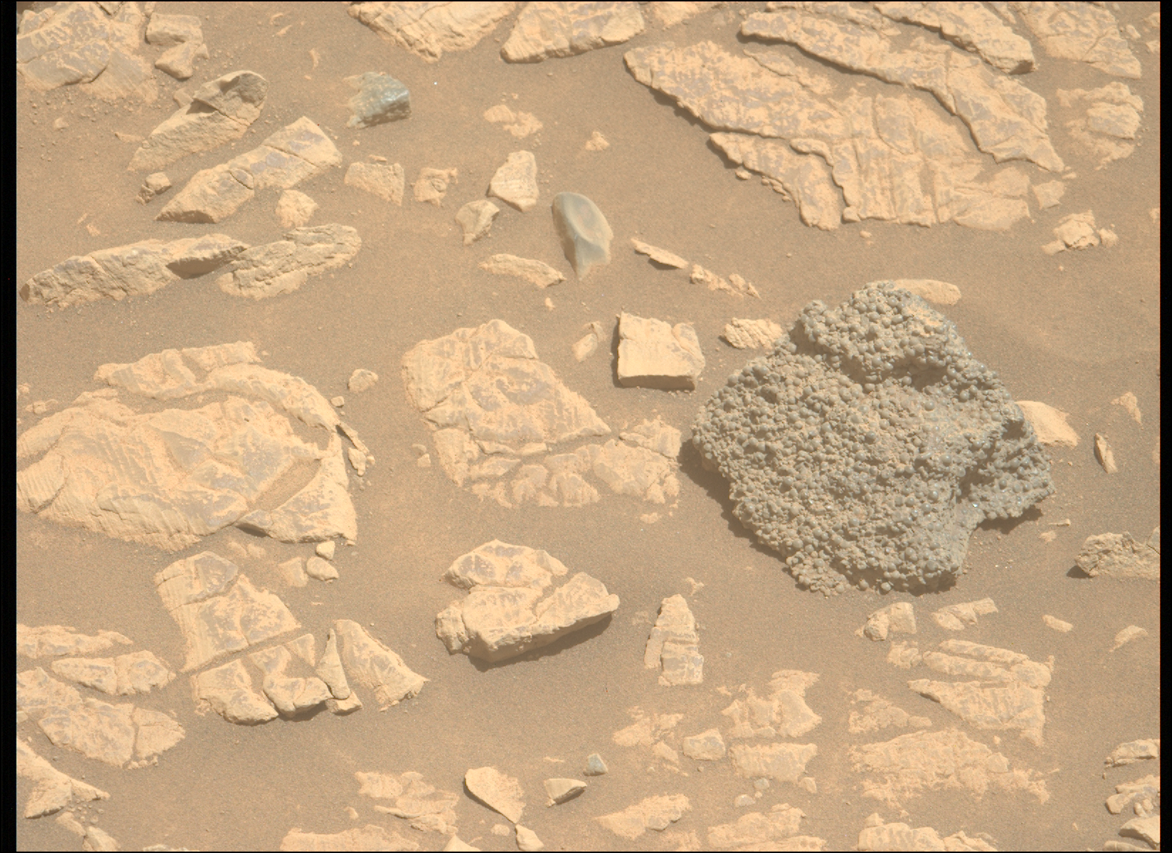 A color photo from the Martian surface shows pale brownish-orange fine soil with several small and medium sized rocks poking above the surface, lighter-toned than the surrounding soil, mostly flat with varied edges and cracks. One exception stands out at the middle right of the image, dark gray and slightly larger than everything else around, vaguely diamond-shaped — from the viewer’s vantage point — and covered everywhere on its surface in tiny bumps.