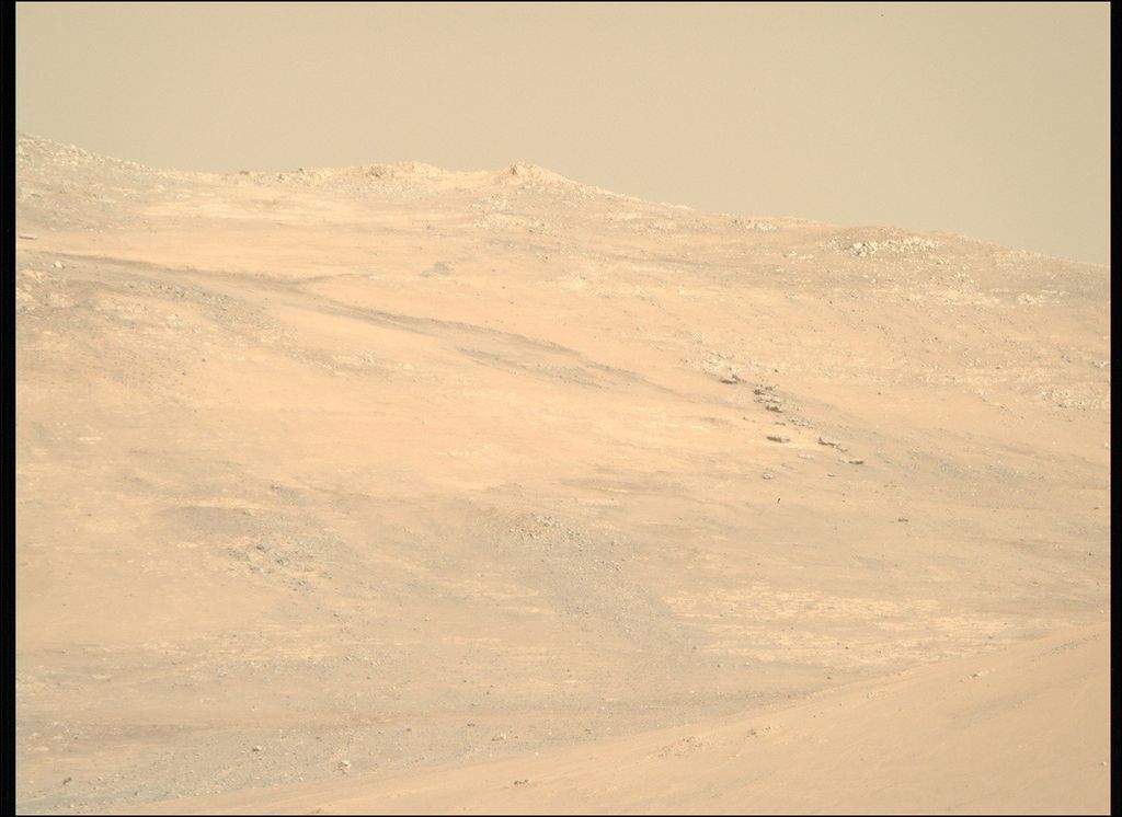 Hi ya! Hyha - NASA Science