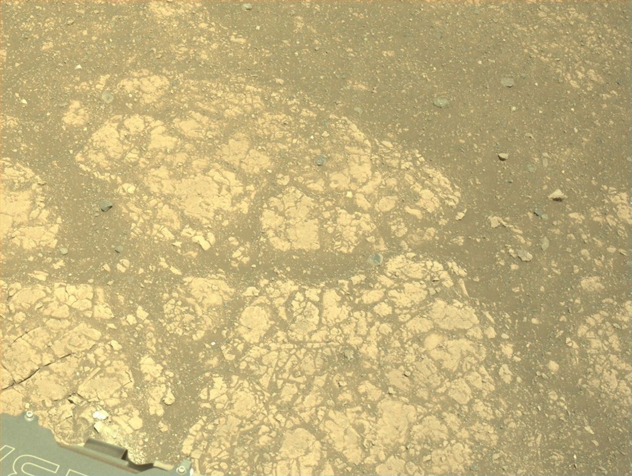 A color image from the Martian surface shows uneven yellow-tan ground, covered in gravel and much larger flat, angular rocks showing above the surface. A portion of the Perseverance rover is visible in the lower left corner of the image.