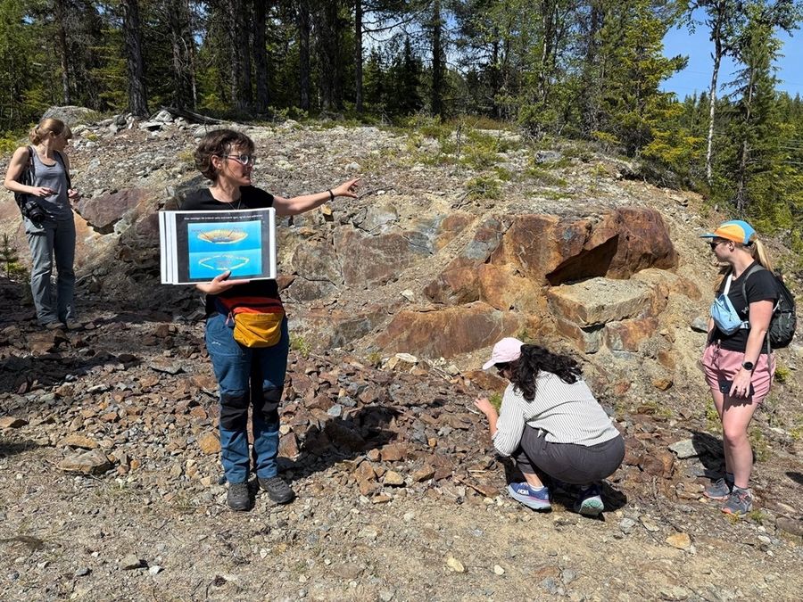 A group of four scientists, members of the Mars 2020 Science Team, are examining a rocky, outdoor area that appears to be a geological site. In the foreground, the ground is covered with loose rocks and dirt. Trees are visible in the background under a bright sky.