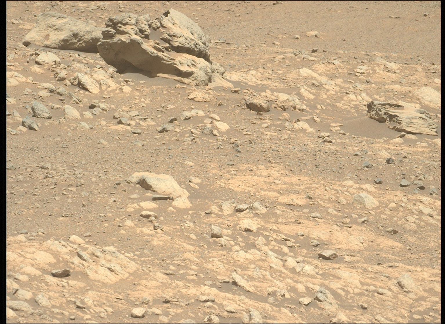 A Stranger in Our Midst? - NASA Science