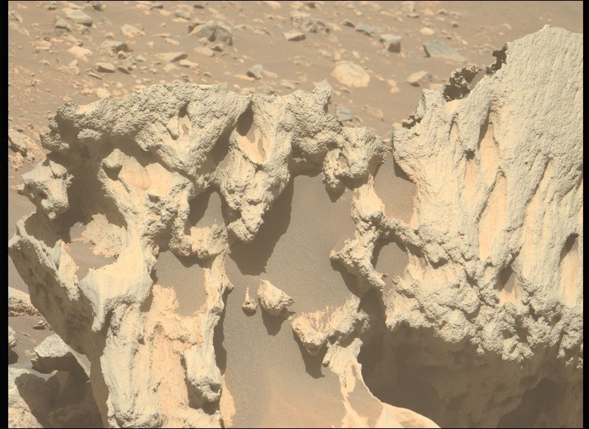 A Stranger in Our Midst? - NASA Science