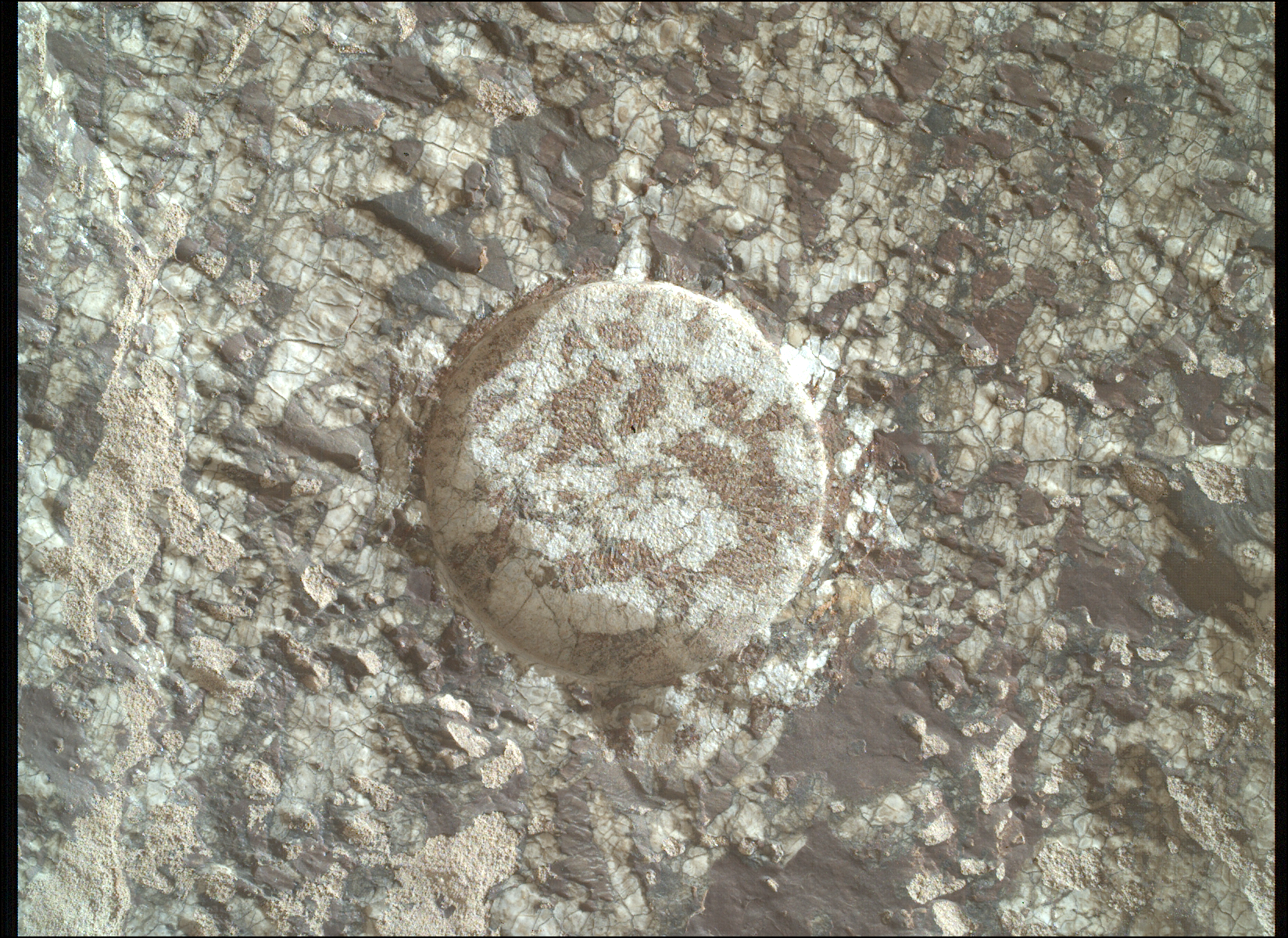 Mars Has Its Charmes