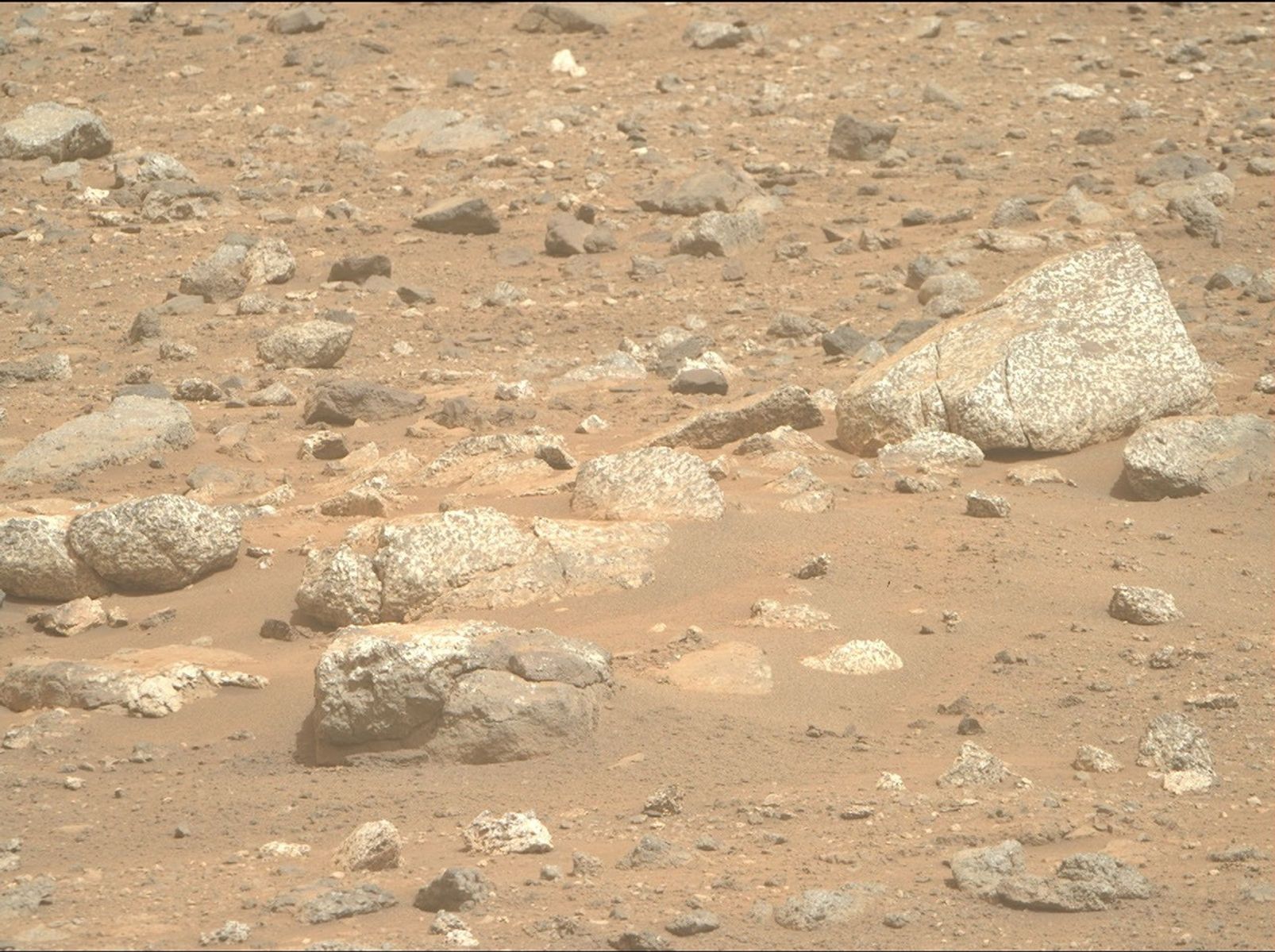 A view of the Martian terrain showing reddish-brown, dusty ground littered with rocks of various sizes. In the foreground and midground, there is a cluster of large, angular rocks characterized by a highly textured, speckled pattern of white and dark grey. The surrounding surface is covered in smaller, rough pebbles and stones partially embedded in the sand. No sky or horizon is visible.