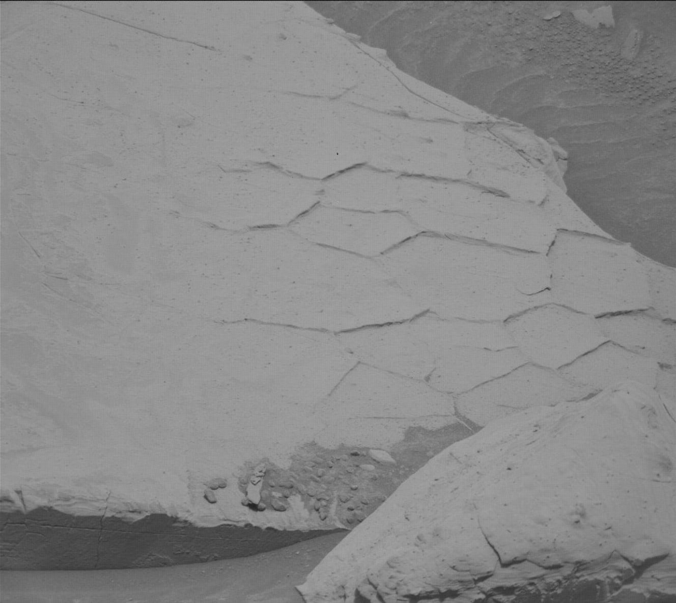 A closeup, grayscale photograph from the Martian surface shows a flat rock with raised polygonal ridges on its surface – mainly pentagons, hexagons, and rectangles – dominating most of the frame. Small areas of the surrounding soil, in a darker shade of gray, are visible in the upper right and lower left corners of the image.