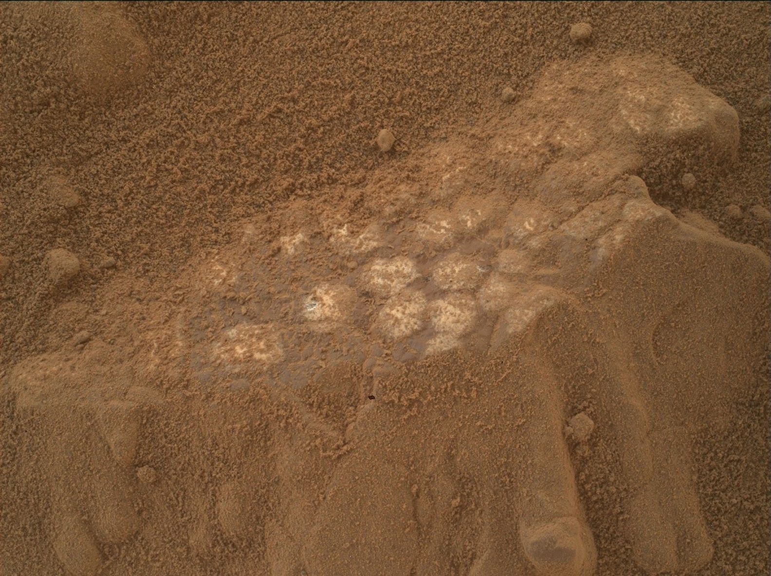 A close-up color photo from Mars shows slightly rocky terrain covered with medium orange-brown soil that appears almost fluffy, like wet sand stirred up at the beach. At image center are about two dozen smallish, rounded stones, much lighter to almost white in color, just visible under a scattered layer of the soil. They look like marshmallows slightly submerged in hot chocolate.