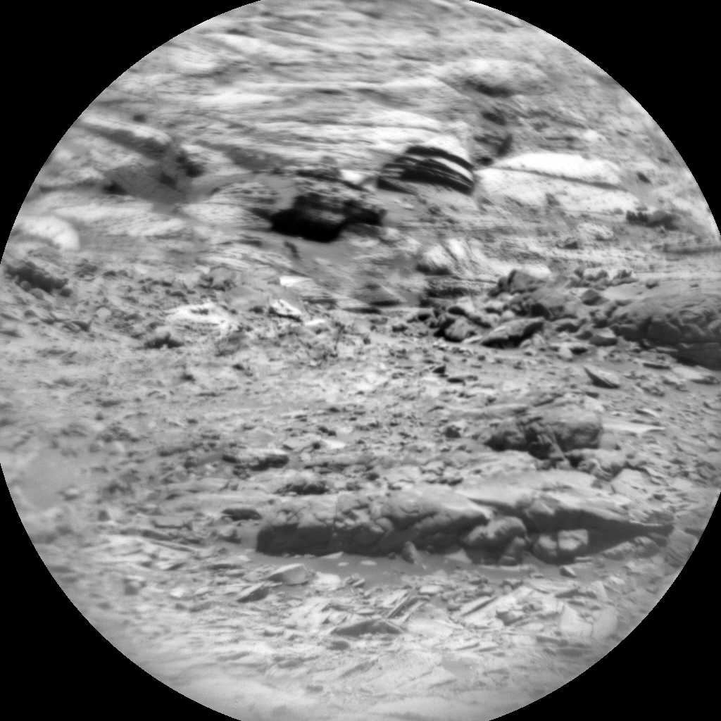 A nearly circular grayscale photo from the Martian surface shows a closeup of extremely varied terrain. At the bottom of the frame are numerous jagged shards of stone pointing in various directions, whitish and much lighter than other rocks in the image. Above that is a layer of slightly darker, more bulbous stones, like a line of clouded bubbles emerging from the ground. Beyond that all the rocks become more mixed, and larger than those lower in the frame, with more flat, sharp, bright-toned rocks pointed at various angles, and rounded rocks in medium to dark gray, with a scattering of smaller stones among them.