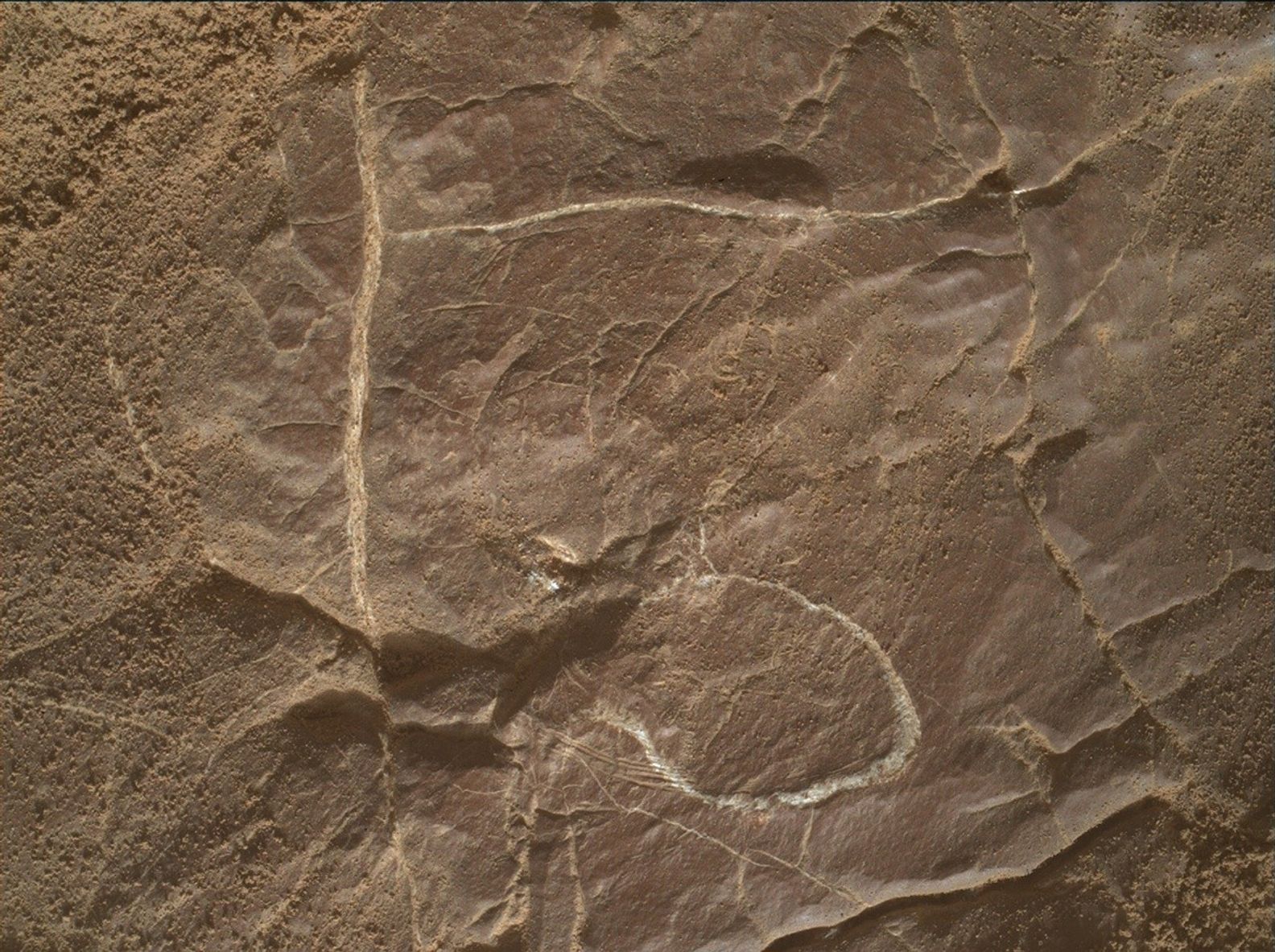 An overhead color closeup photo of Martian terrain shows a mostly smooth surface, cracked in a few areas, others with a sponge-like appearance, colored light tan-orange, with white veining in some areas, creating a backwards “C” in the lower right corner and a right-angle, upside-down “L” near the upper left corner. The entire surface resembles an overhead view of a pan of uncut brownies.