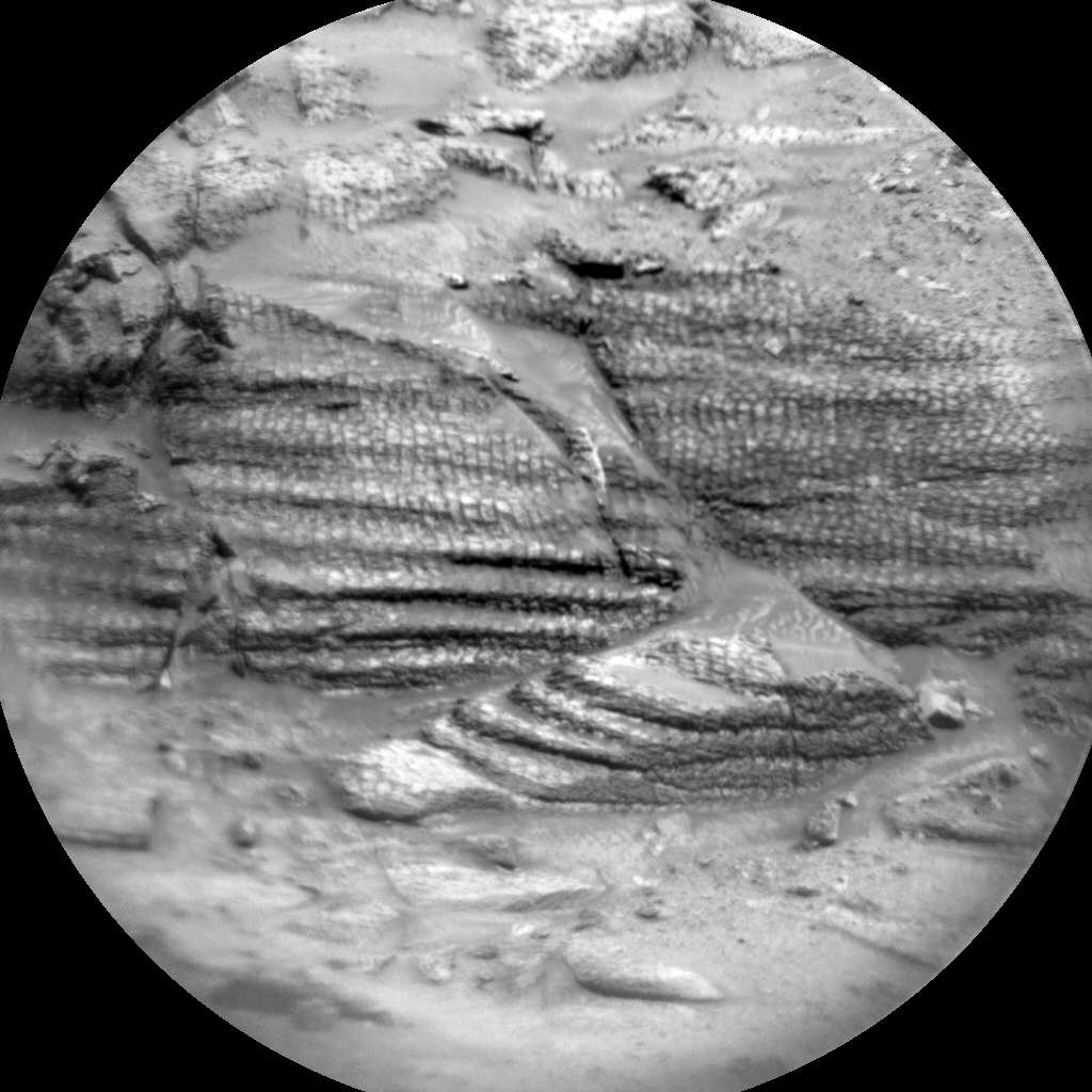 A grayscale, closeup image of Martian terrain, showing three areas of layered rocks, which are textured in a way that looks like reptile skin.
