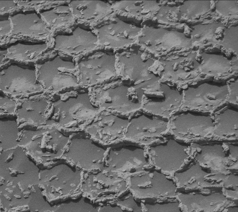 NASA/JPL-Caltech/MSSS
