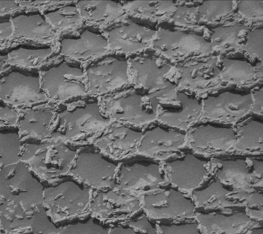 Curiosity Blog, Sols 4934-4940: In the Land of the Polygons - NASA Science