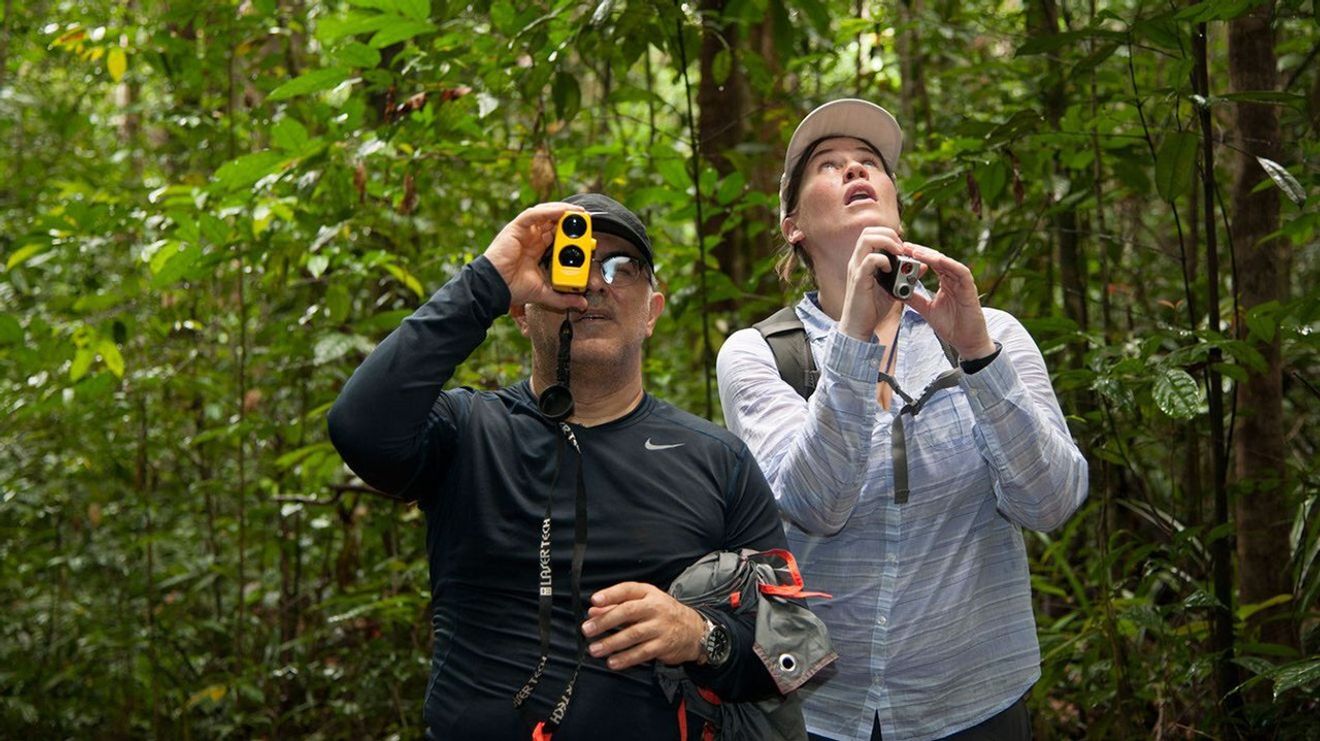 Members of the AfriSAR team, Sassan Saatchi (left) from NASA's Jet Propulsion Laboratory and Laura Duncanson (right) from NASA's Goddard Space Flight Center take measurements of trees in the rainforest in the Mondah National Park, Gabon. Credit: NASA/Carla Thomas.