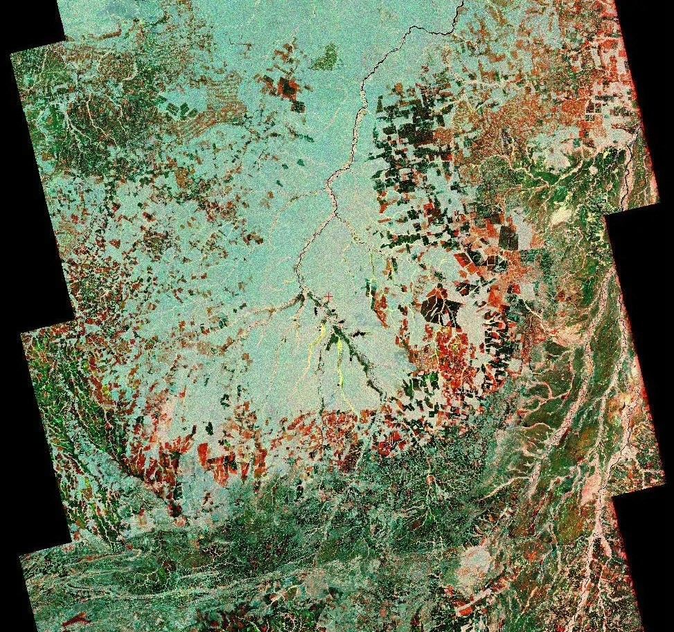 a green gradient image with red patches spread sporadically.