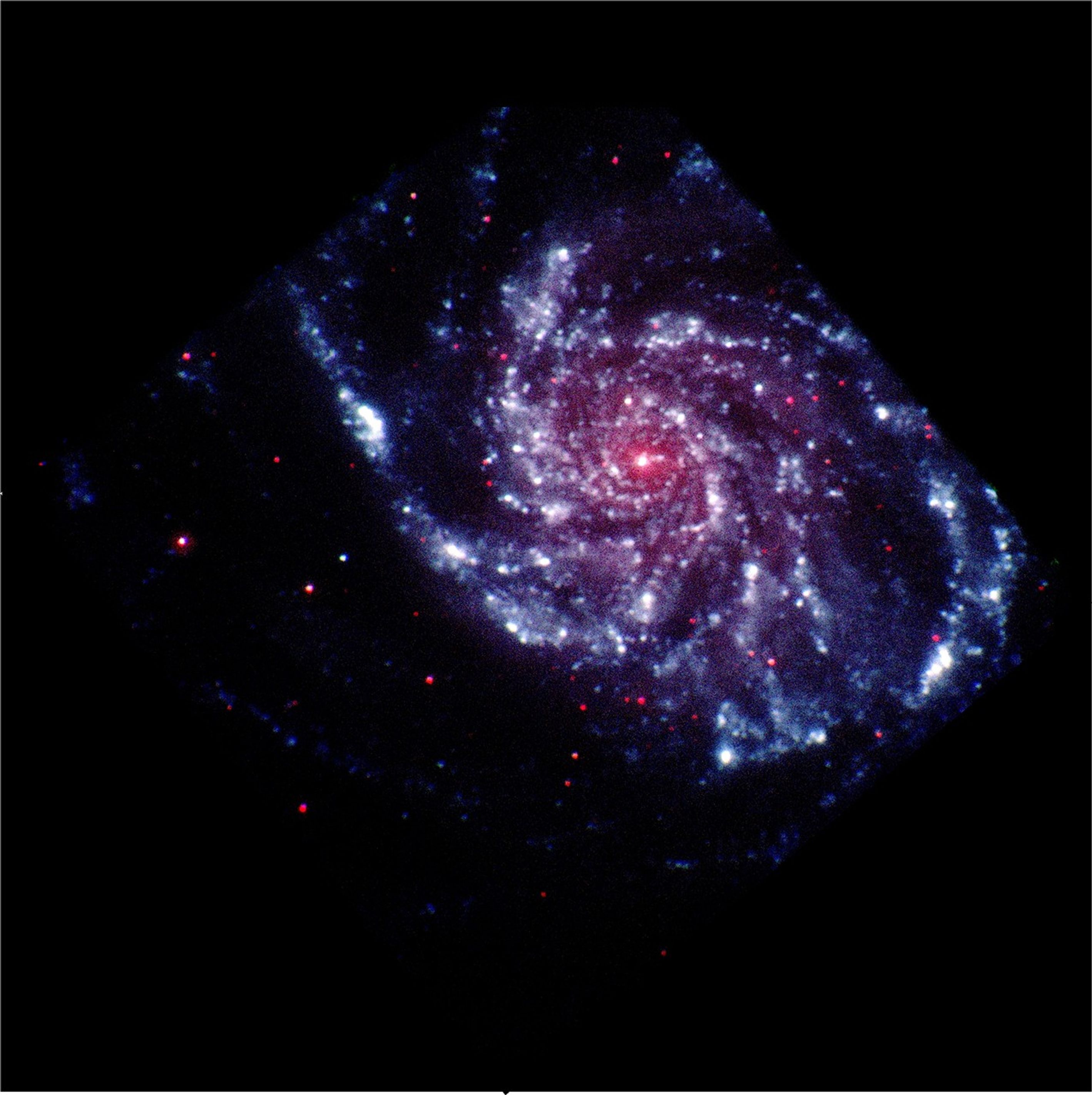 Swift UVOT image of galaxy M101