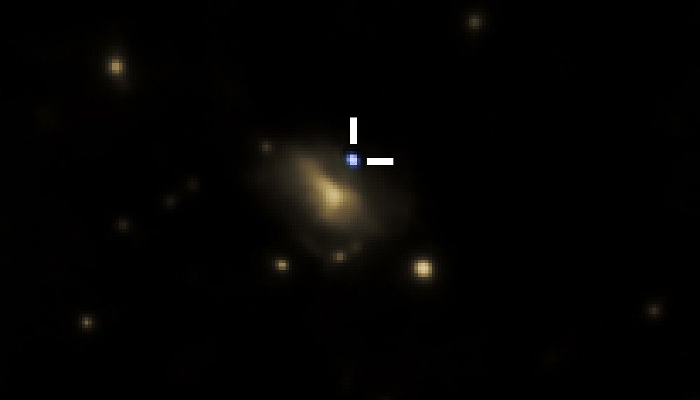 Optical and X-ray image of AT 2024wpp