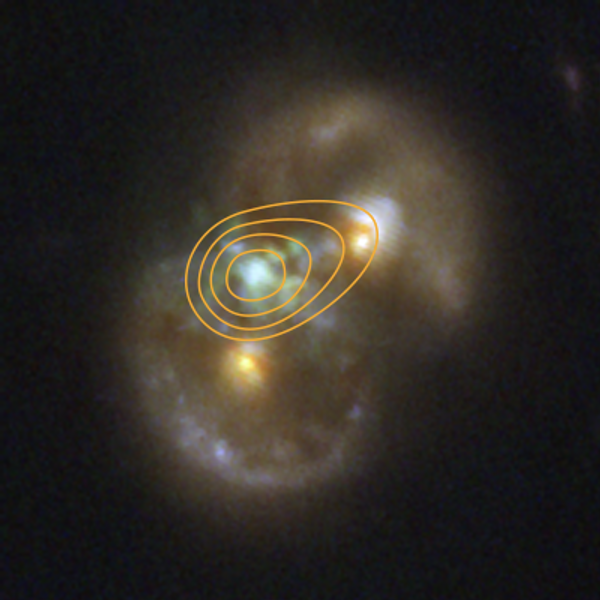 Caption: Overlay of JWST infrared data (color) with radio contours from the Very Large Array (white) on the Infinity Galaxy, pinpointing radio emission from the central black hole aligned with glowing gas—evidence of active accretion in a direct collapse scenario. Image Credit: NASA, ESA, CSA, STScI, VLA, P. van Dokkum (Yale University).