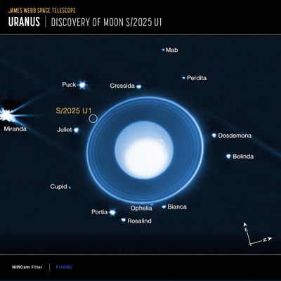 New Moon Discovered Orbiting Uranus Using NASA’s Webb Telescope
