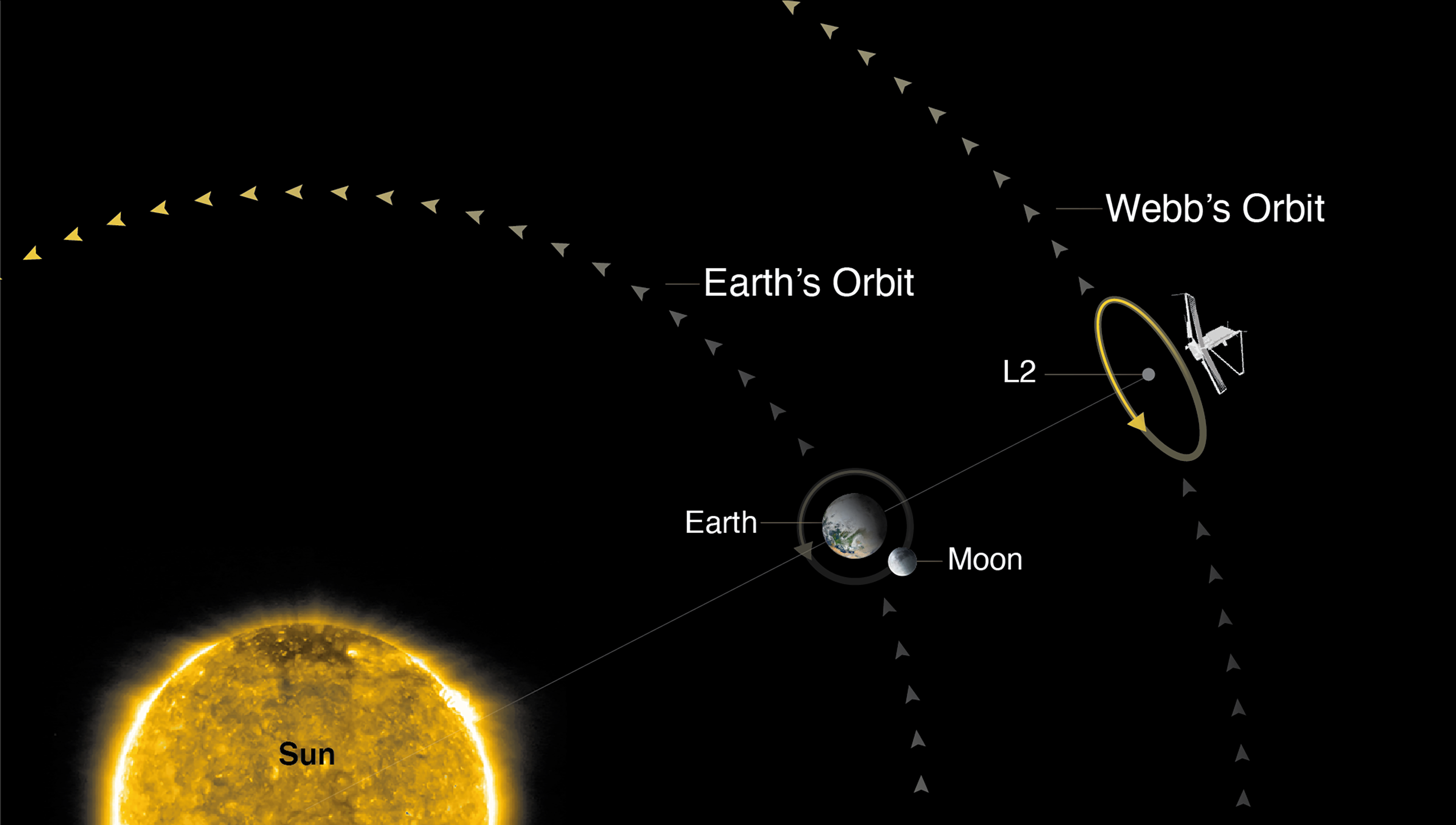 Diagram showing where Webb’s orbit is with respect to Earth and the Sun. Webb is located at Lagrange Point 2, which is one of the points where the gravitational forces of Earth and the Sun help objects to stay put.