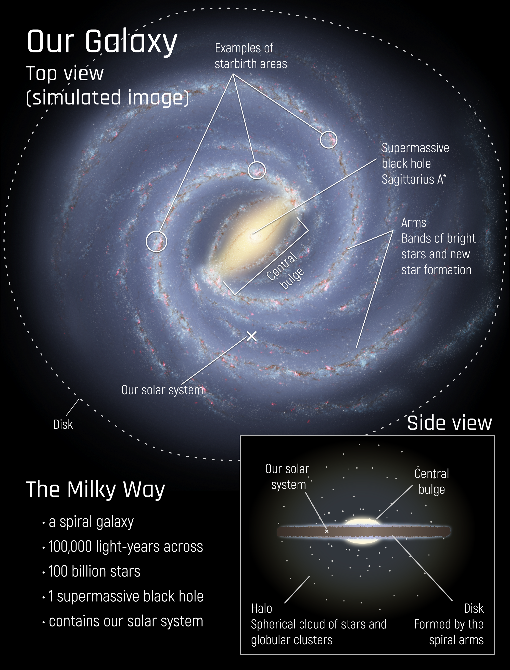 Infographic featuring two simulated views and a description of our Milky Way galaxy. The upper portion shows the top view, looking down from above. At the bottom right is the side view.